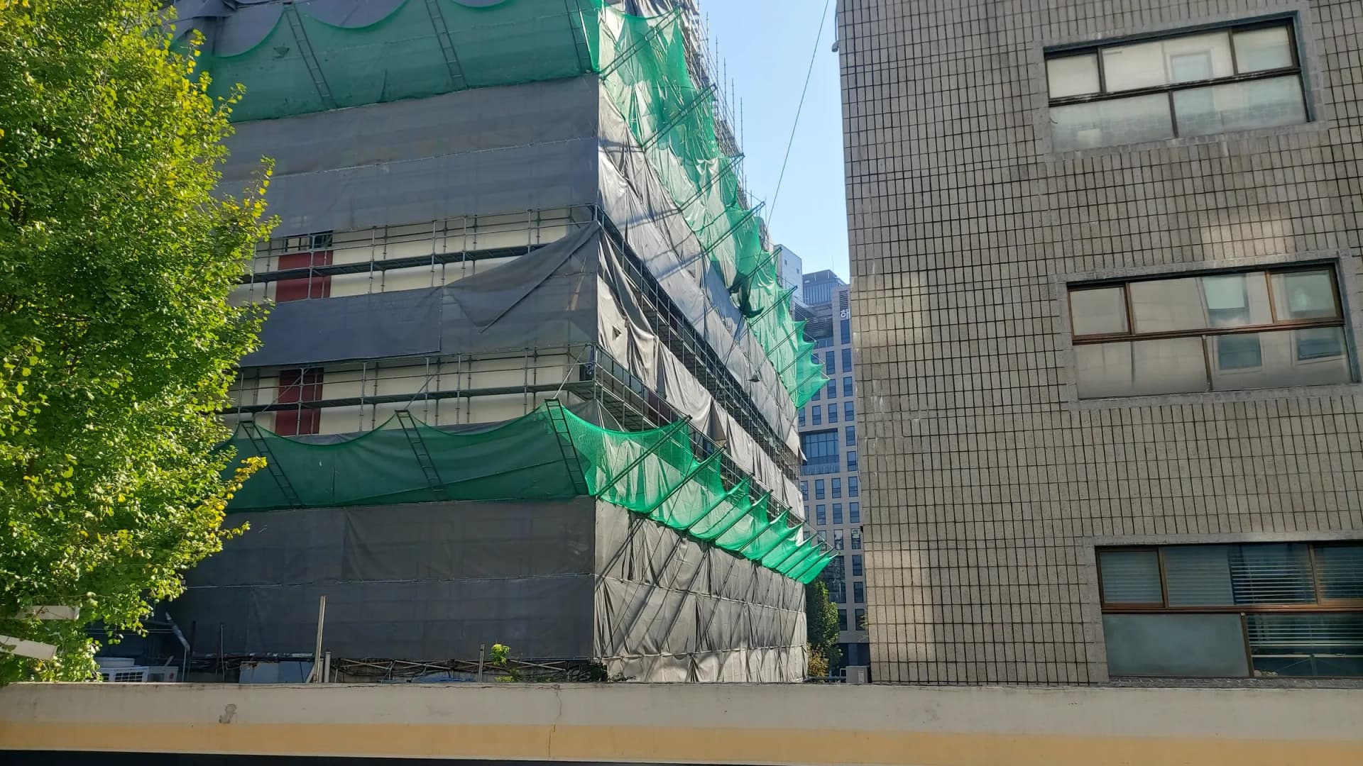 비계와 녹색 안전망이 설치된 건물 외벽, 왼쪽에 은행나무