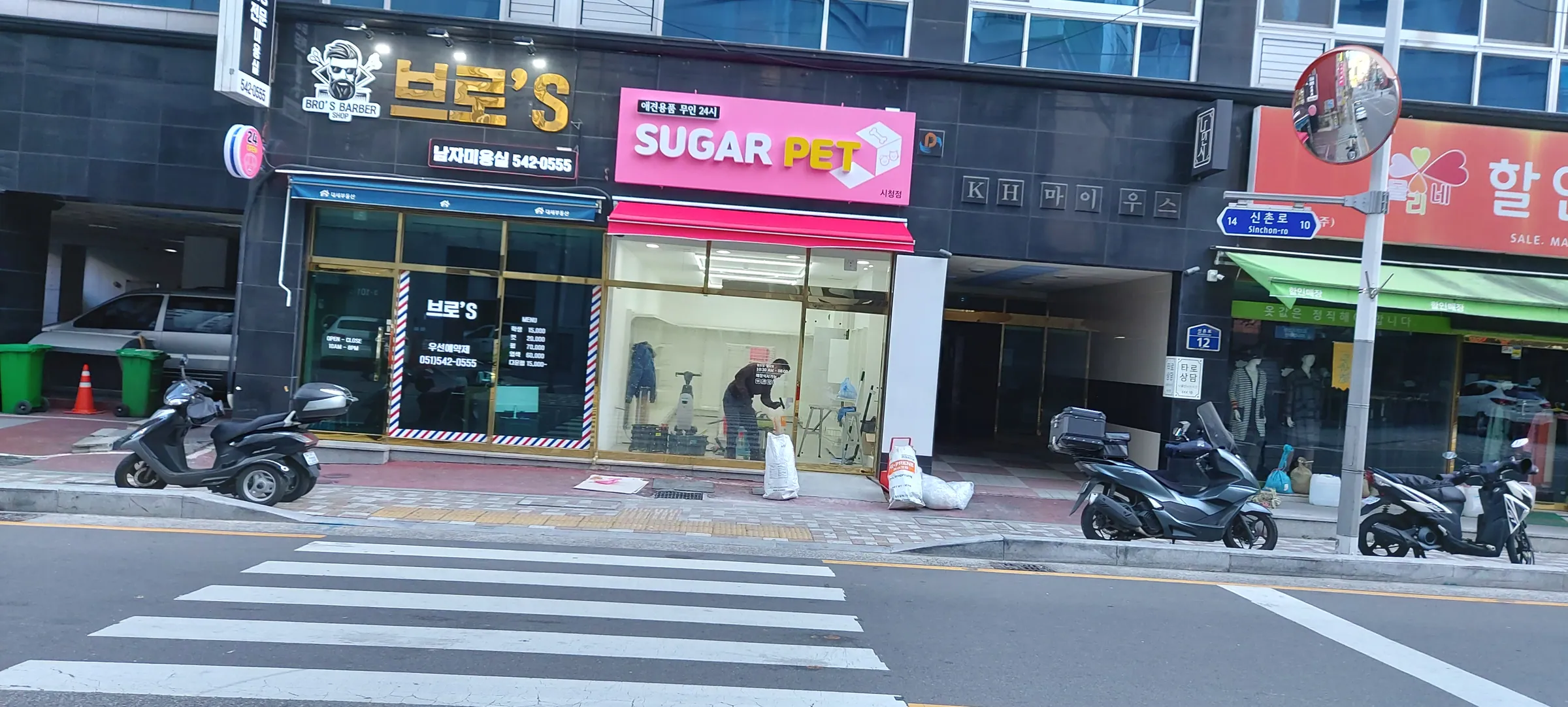 새로 식재한 자작나무·단풍나무와 흙 포대가 쌓인 주택 정원